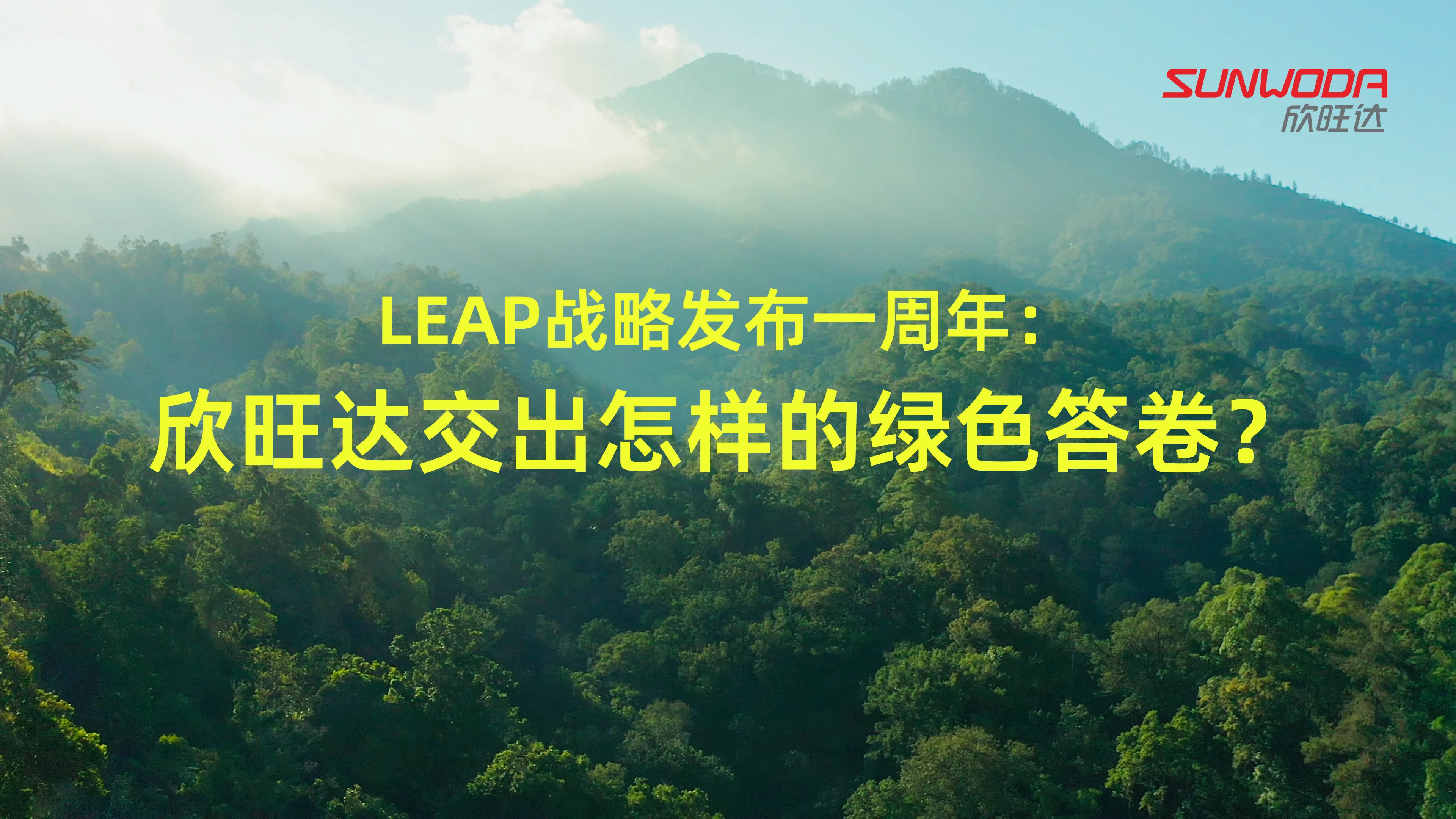 LEAP战略一周年进展